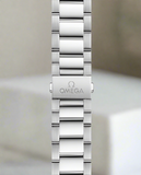 Seamaster "Aqua Terra" PM (VSF) 1:1