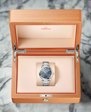 Seamaster "Aqua Terra" PM (VSF) 1:1